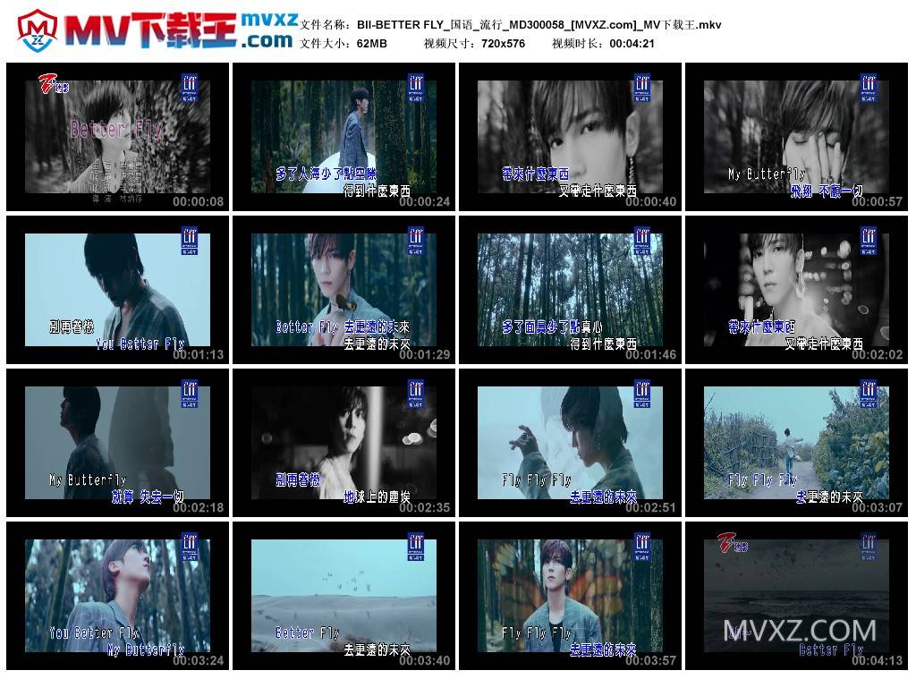 BII-BETTER FLY_国语_流行_MD300058